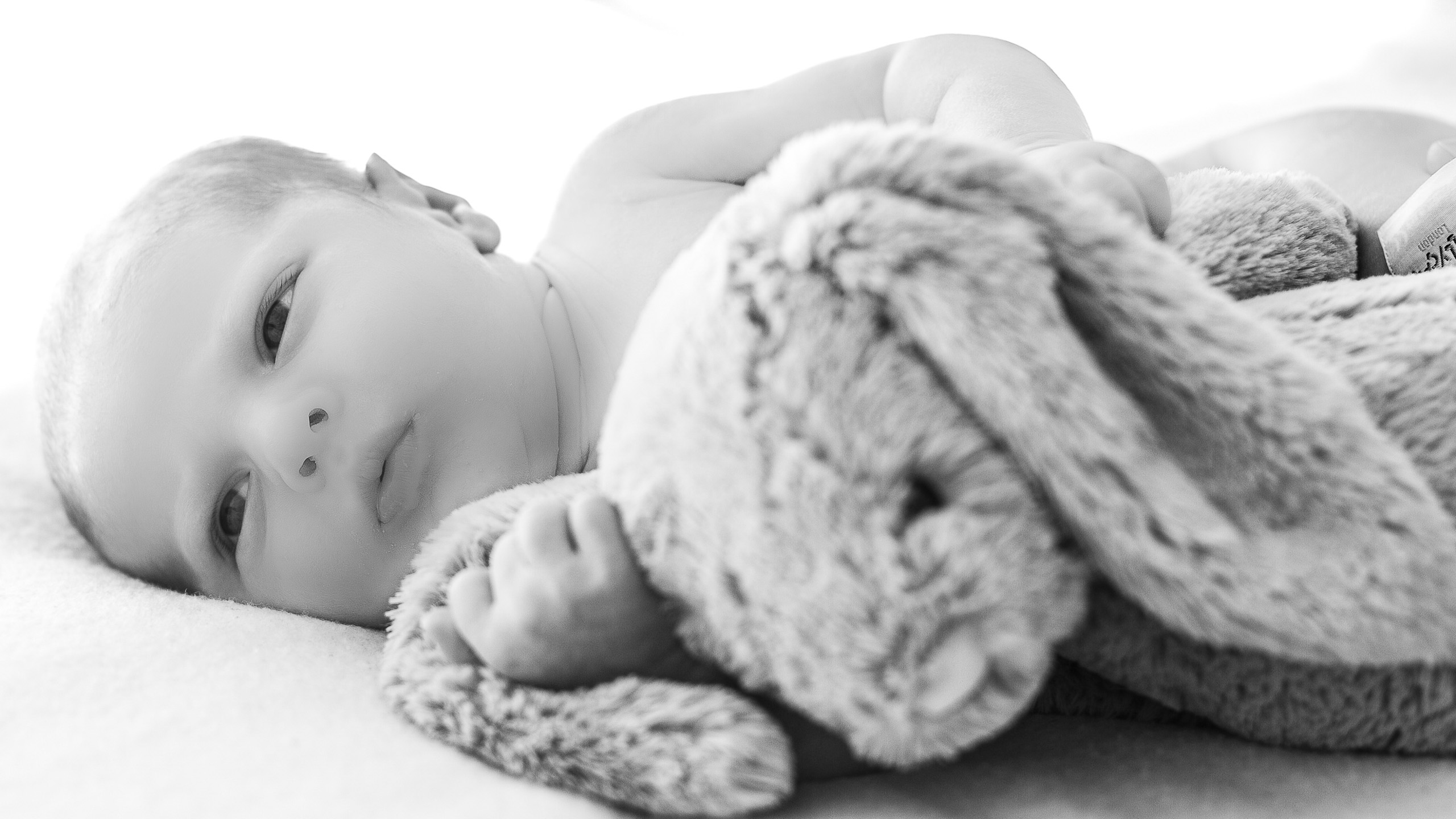 Beautiful newborn photo shoot. Set it Free Photography Sydney.